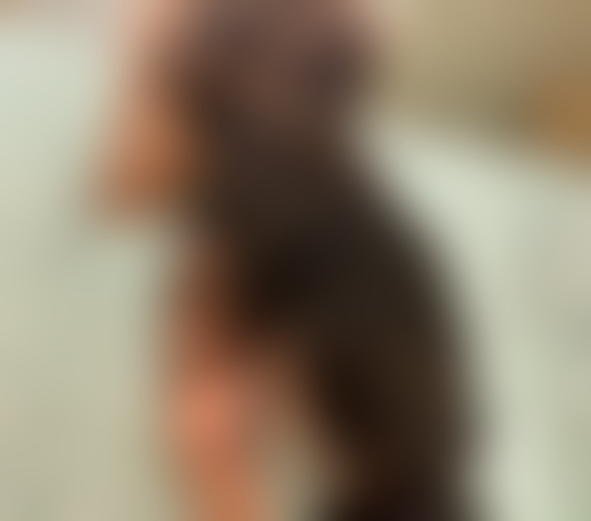 Escorts North London Hackney - North London - Photos for Apassional 7466 562052 Karina